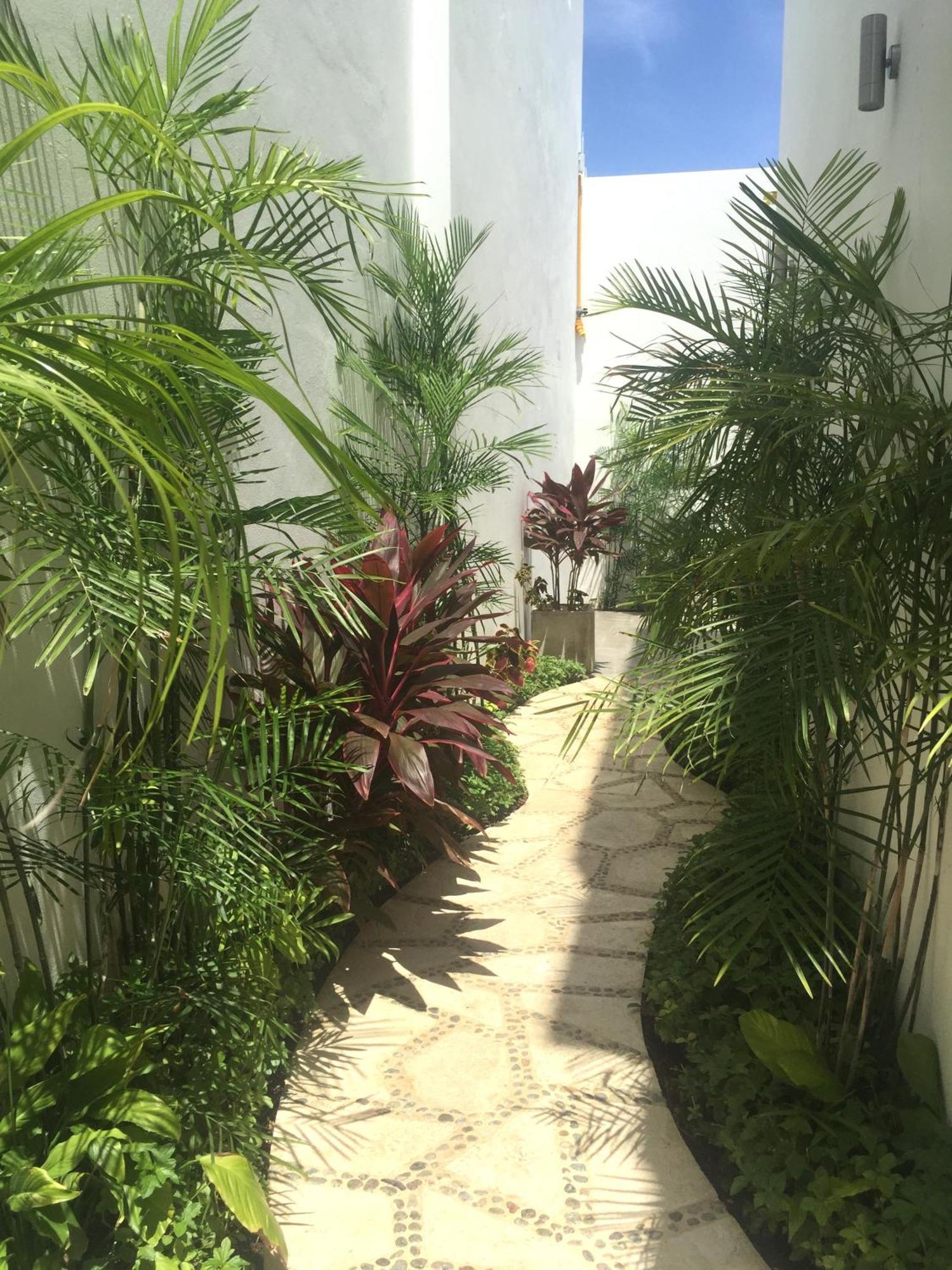 Hotel Quinta Santa Anita Playa del Carmen Exteriér fotografie